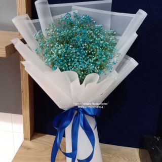 [Hoa khô] Hoa baby khô xanh thiên thanh làm quà tặng độc đáo