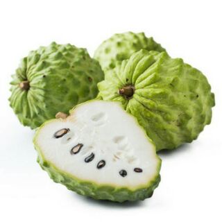 Cây Giống Na Dứa Đài Loan