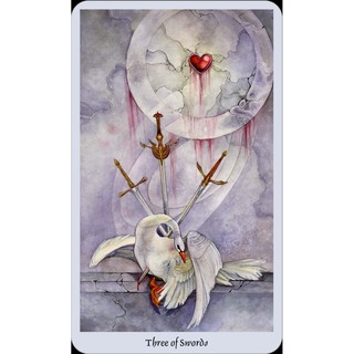 Bộ Bài Shadowscapes Tarot Bookset (Guu Tarot Shop)