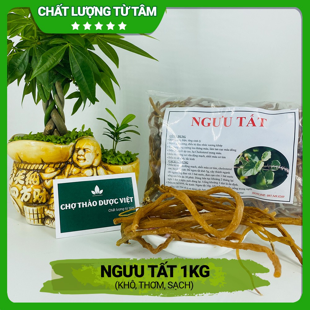 Ngưu tất nam 1kg thơm, sạch - Chợ Thảo Dược Việt