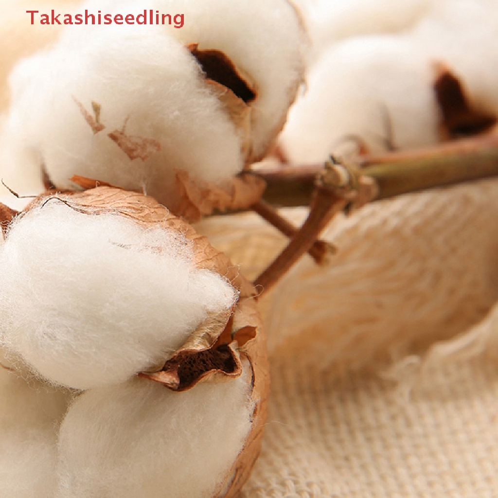 Set 100 Miếng Bông Tẩy Trang Mềm Mại Hình Tròn Tiện Dụng