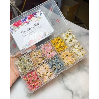 Hoa bột cúc nghiêng xoáy ( set 2 bông | 10 bông )