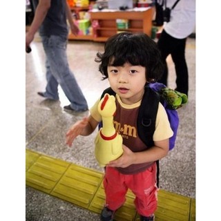 🐥🐥 GÀ ĐỒ CHƠI 🐥🐥 DÀNH CHO THÚ CƯNG