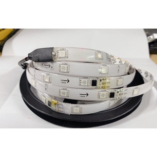 Led cuộn 1903 tự chạy cuộn 5m