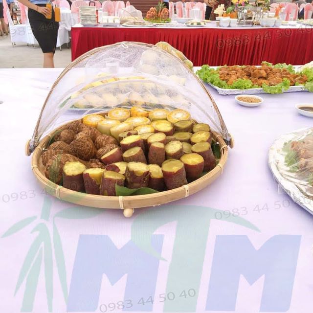 Lồng bàn lưới picnic đậy đồ ăn, tránh côn trùng, bụi bẩn