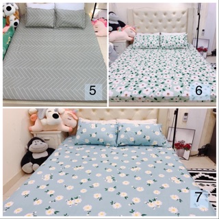 Bộ ga gối cotton polly (ảnh thật)