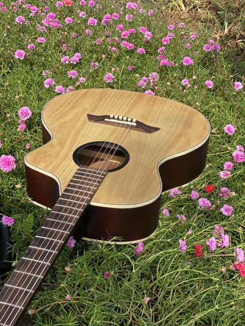 [HÀNG MỚI VỀ] Đàn guitar acoustic có ty chỉnh cần STreal-A1