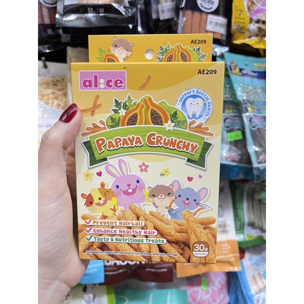 Bánh Giòn Bí Ngô, Cà Rốt Alice Pumpkin Crunchy cho thỏ, bọ, Hamster, Chinchilla 30g