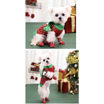 Vớ / tất Giáng sinh, Noel cho chó mèo