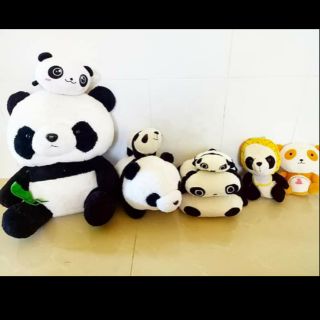 Gấu bông của phạm dung