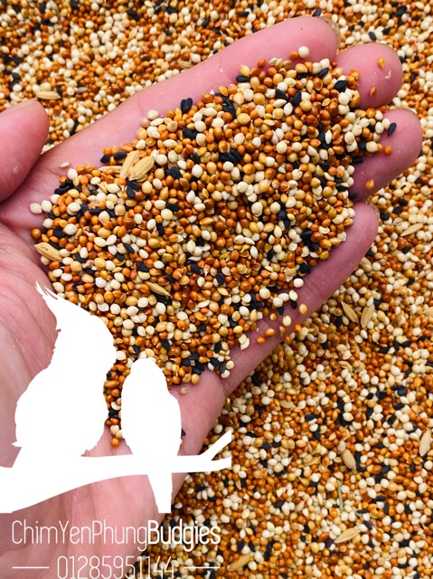 2kg thức ăn hạt hỗn hợp cho chim Yến Phụng (Vẹt HongKong) và Chim Cảnh nhỏ.