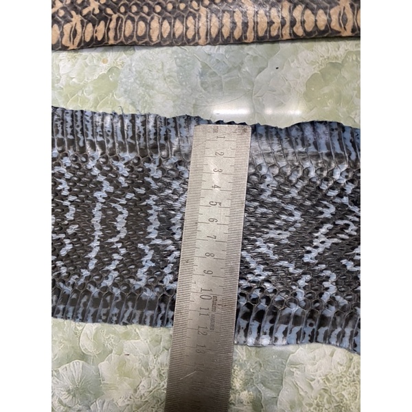 Da rắn nguyên con