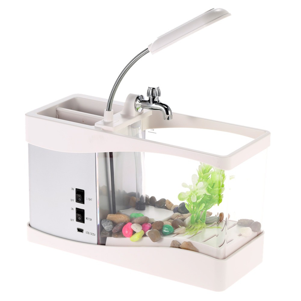 Bể cá mini để bàn kèm đồng hồ đèn LED tặng sỏi và cây trang trí