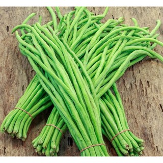 Hạt giống đậu đũa leo - gói 10g, 20g