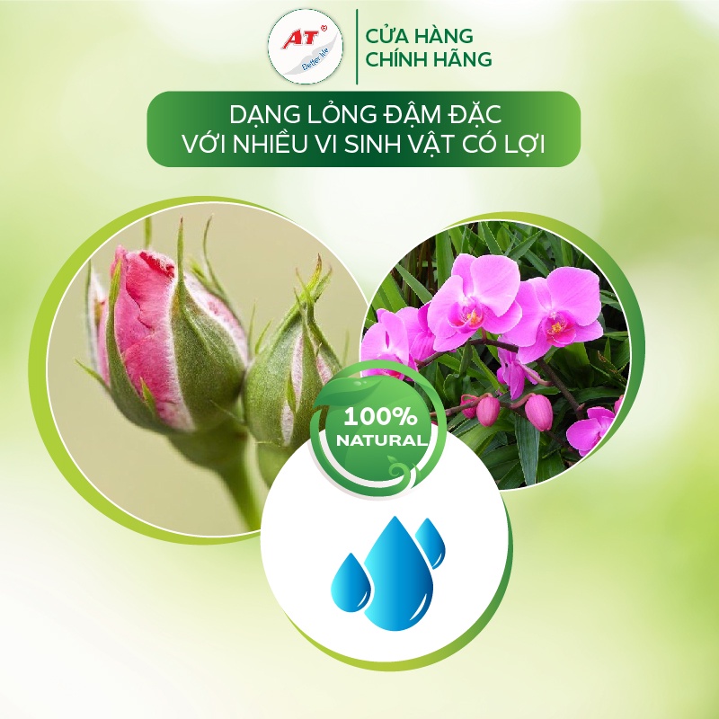 Kích rễ sinh học đậm đặc siêu ra rễ cực mạnh cho rau màu, hoa hồng, hoa lan, cây cảnh trong nhà - B52 siêu ra rễ 100ml