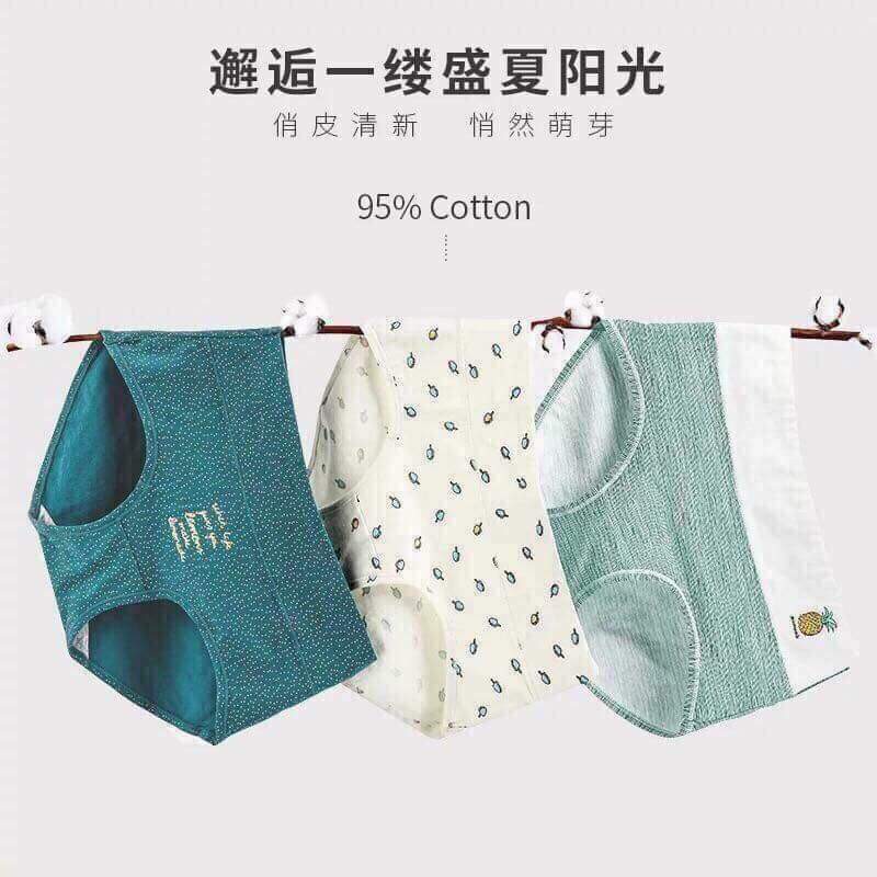 Set 4 quần lót ghen bụng cotton hộp hình môi