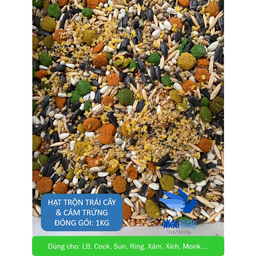 Hạt Trộn Trái Cây & Cám Trứng Cho Vẹt, Chim Cảnh, Hamster, Sóc, Chuột...Từ 10 Loại Hạt