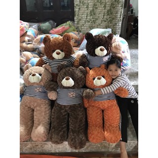 Gấu teddy khổ 1m20 cao 85cm cam kết giống hình