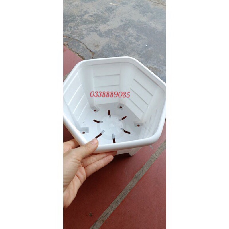 Chậu nhựa hoa Lục giác - hàng chính hãng Z111, hàng đẹp và cứng