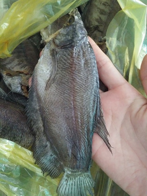 Khô cá sặc bổi Cà Mau - mặn vừa, dai thịt, thơm ngon  Bếp ngon và sạch