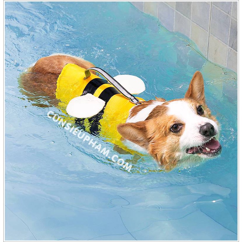 Áo phao bơi ong vàng đi biển cho chó mèo