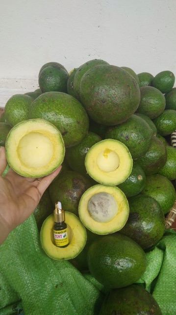 TINH DẦU BƠ (chai 30ml) | BigBuy360 - bigbuy360.vn