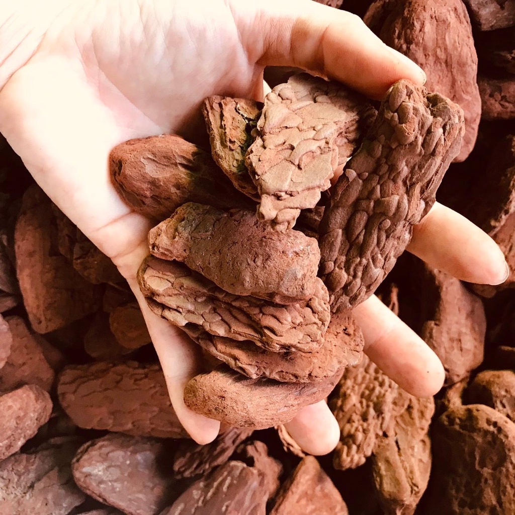 Vỏ thông các size lớn dành cho kiểng lá, gói 1kg  Chuyên Đỗ Shop