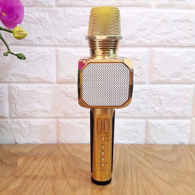Micro Bluetooth Karaoke kèm loa SD10 - Chất lượng âm thanh hay, Thu Âm Tốt