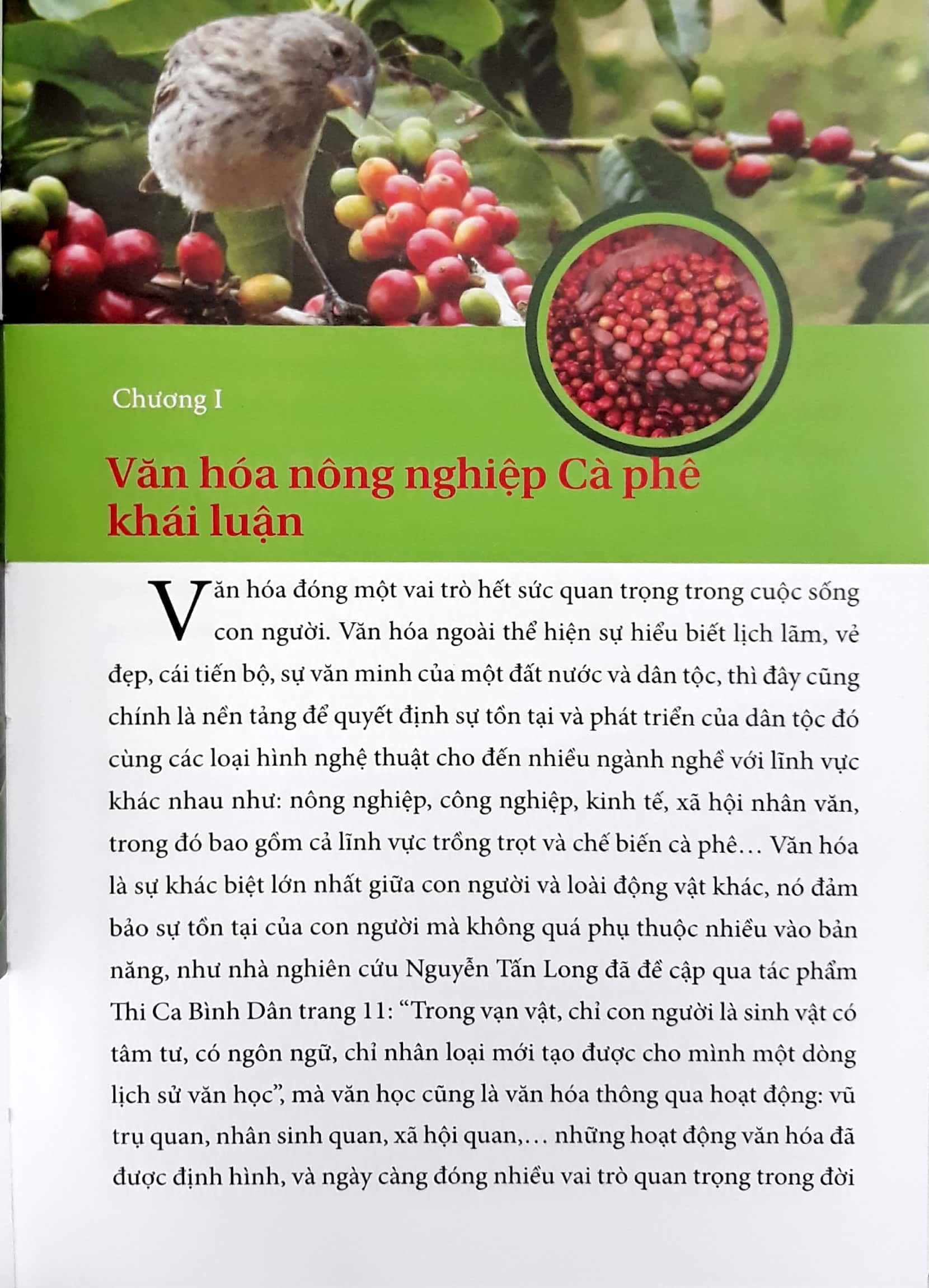 Sách Tình Yêu Cà Phê Việt