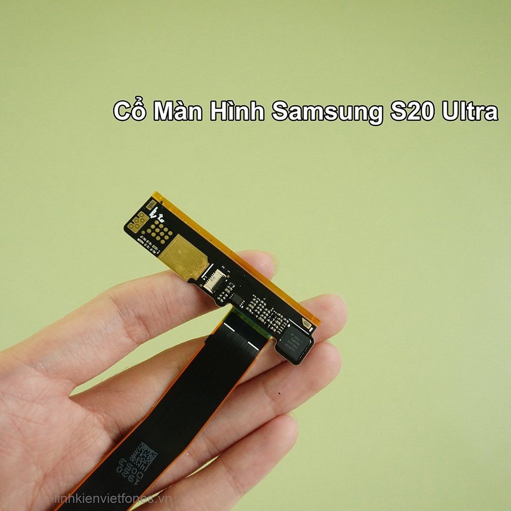 Cổ màn hình Samsung S20/ S20 Plus/ S20 Ultra