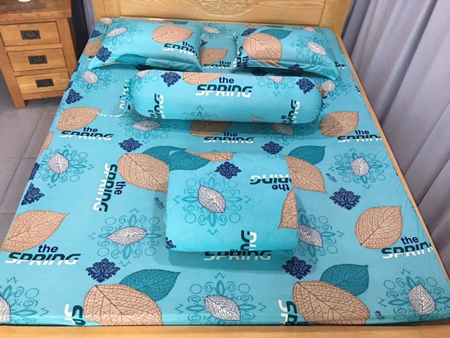 Drap giường, lá mùa đông , siêu xinh siêu sướng, thun Hàn Quốc, 1m6 ~ 2m, chỉ 180000đ ~ 200000đ