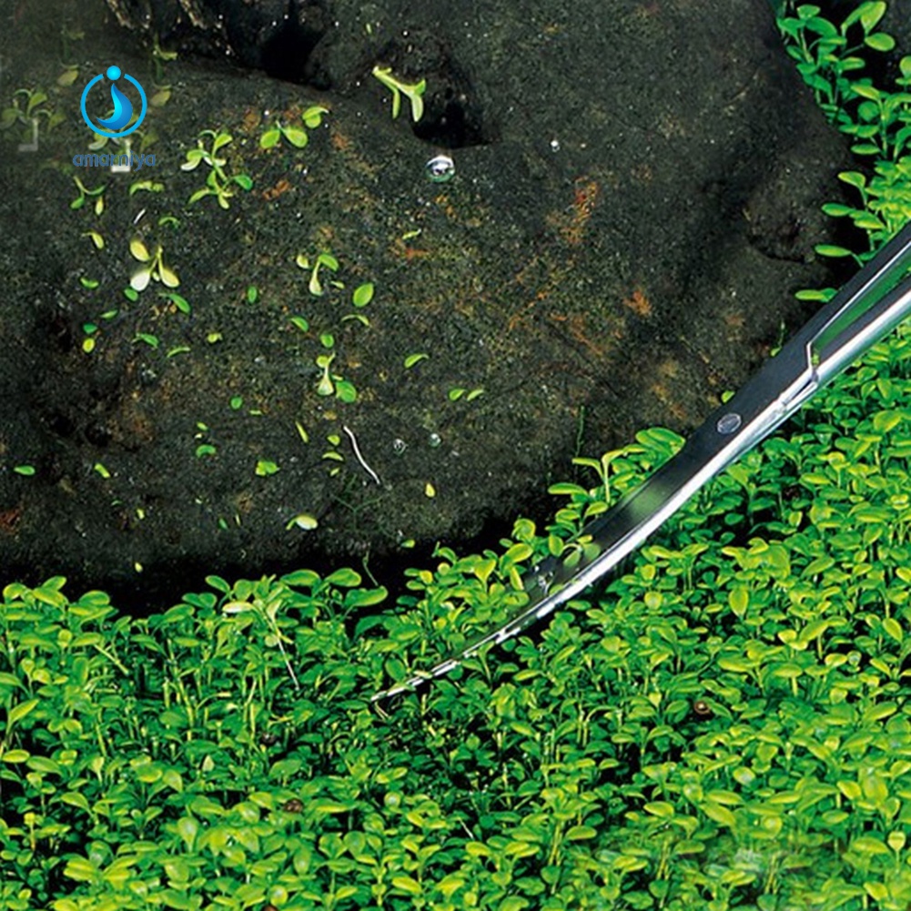 Bộ 3 Dụng Cụ Kéo Cắt Tỉa Cây Thủy Sinh Hồ Cá Cảnh