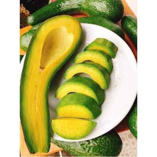 1 kg Bơ 034 Lâm Đồng bao ăn, khi nào khách mua mới cắt