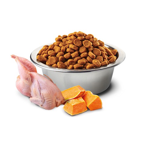 1.5kg - Hạt N&amp;D ™ Vịt &amp; Dưa lưới dành cho Mèo trên dòng Pumpkin - Farmina N&amp;D ™ DUCK &amp; CANTALOUPE ADULT Pumpkin for Cat