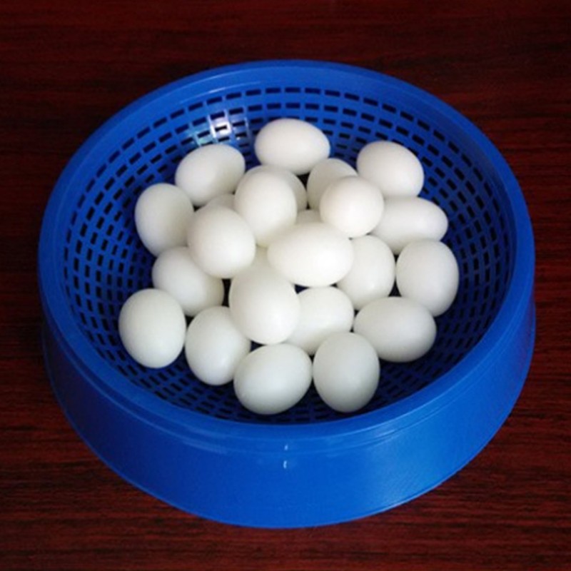 Set 5 quả trứng bồ câu giả bằng nhựa hỗ trợ cho ấp trứng