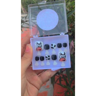 Móng úp chân (Nailbox) bò sữa