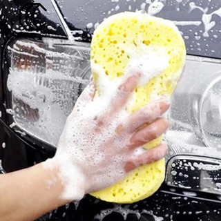Miếng xốp rửa xe hơi
