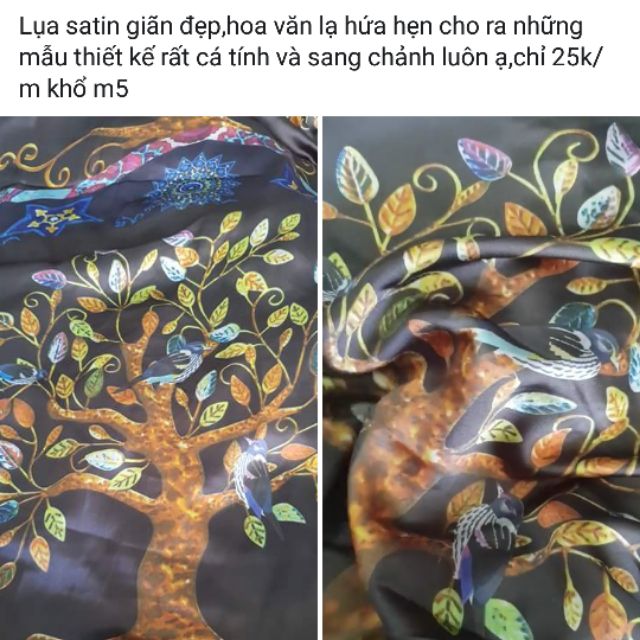Set vải Huỳnh thi
