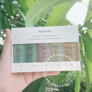 [Set 5chai/25ml] Toner Hoa Hồng  Mamonde