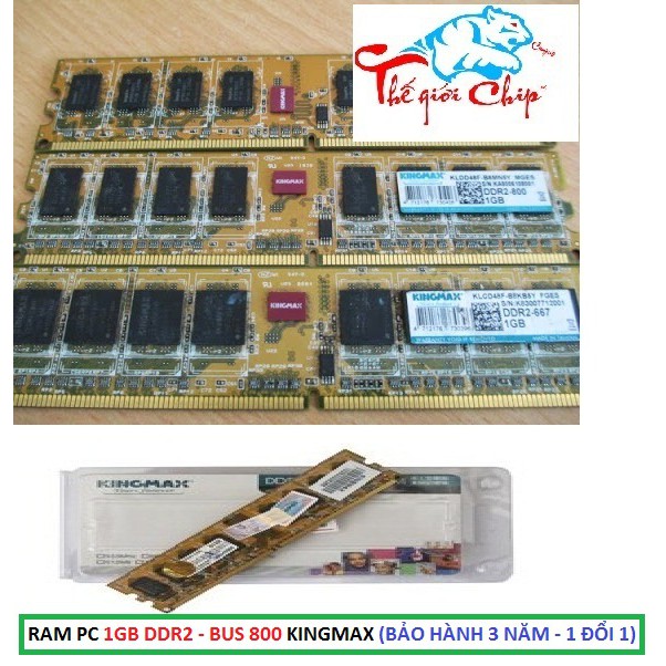 RAM PC 1GB DDR2 - BUS 800 KINGMAX (BẢO HÀNH 3 NĂM - 1 ĐỔI 1) | WebRaoVat - webraovat.net.vn