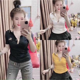 Áo thun nữ có cổ ôm body