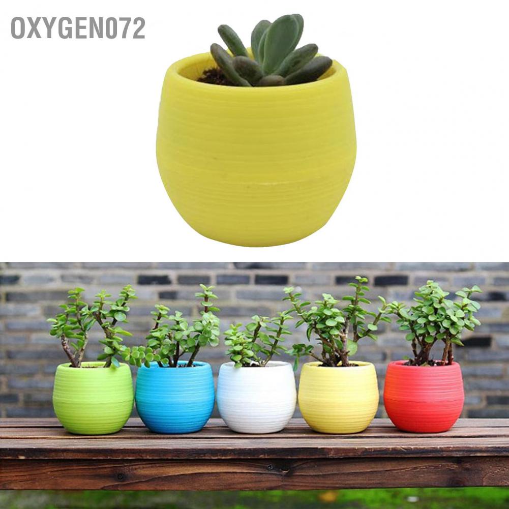 oxygen072 Chậu Hoa Mini Bằng Nhựa Dùng Trang Trí Ban Công Sân Vườn