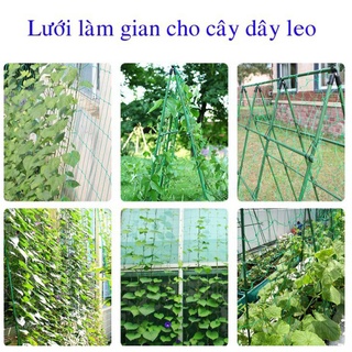 Lưới Giàn Cây Leo, Lưới Giàn cây Có biên chịu 4 cạnh