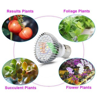 Led trồng cây 30W