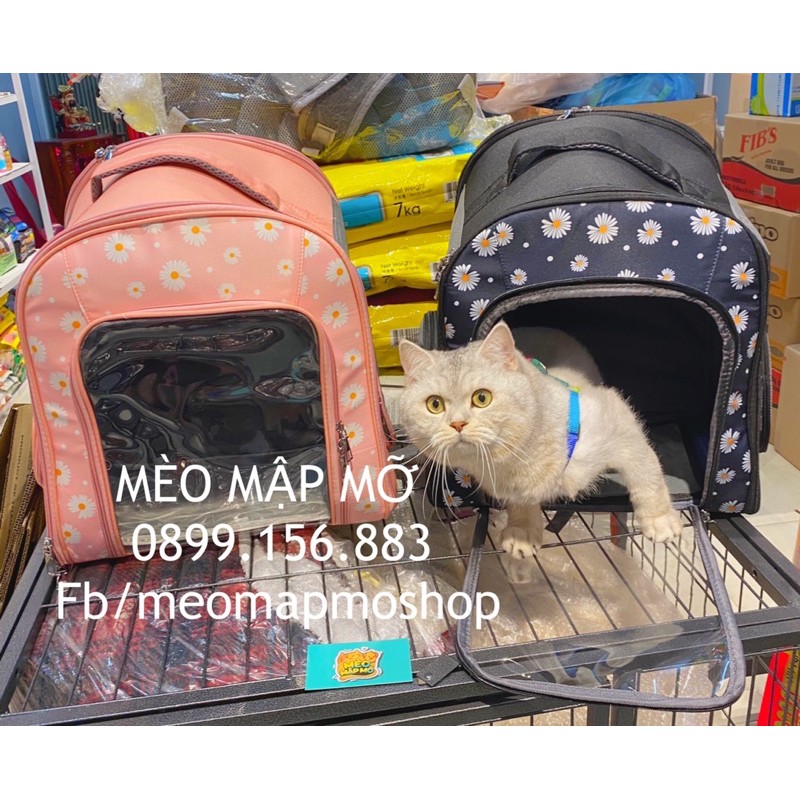 BALO HOA CÚC ĐỰNG CHÓ MÈO SIZE TO ( 1-10kg )