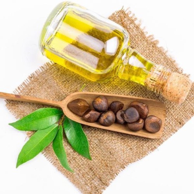 DẦU HOA TRÀ CAMELLIA SEED OIL ORGANIC ÉP LẠNH