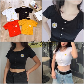 [ Inbox trước để chọn màu] Áo Crop top thun gân , thun trơn xinh xắn Shine Clothing