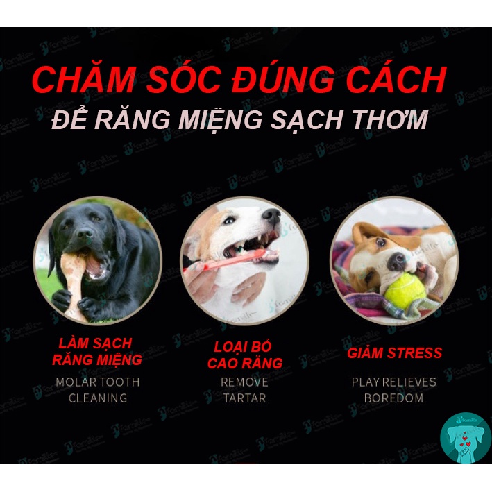 [KHỔNG LỒ]Xương Ống Gặm Sạch Răng JFamille, Siêu To, Loại Bỏ Mảng Bám, Chống Cắn Phá, Bổ Sung Canxi. JF160