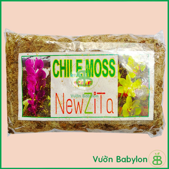 Dớn Trắng Chile 100Gr - Dớn Chile Giữ Ẩm Cho Lan