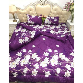 [GIÁ HỦY DIỆT] SÉT COBO ĐỦ 5 MÓN CHĂN PHAO SIÊU NHẸ SIÊU ẤM NHIỀU MẪU MẪU LAN TÍM